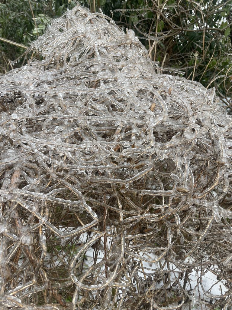 艺术来源于生活的偶然 / Art comes from the accident of life