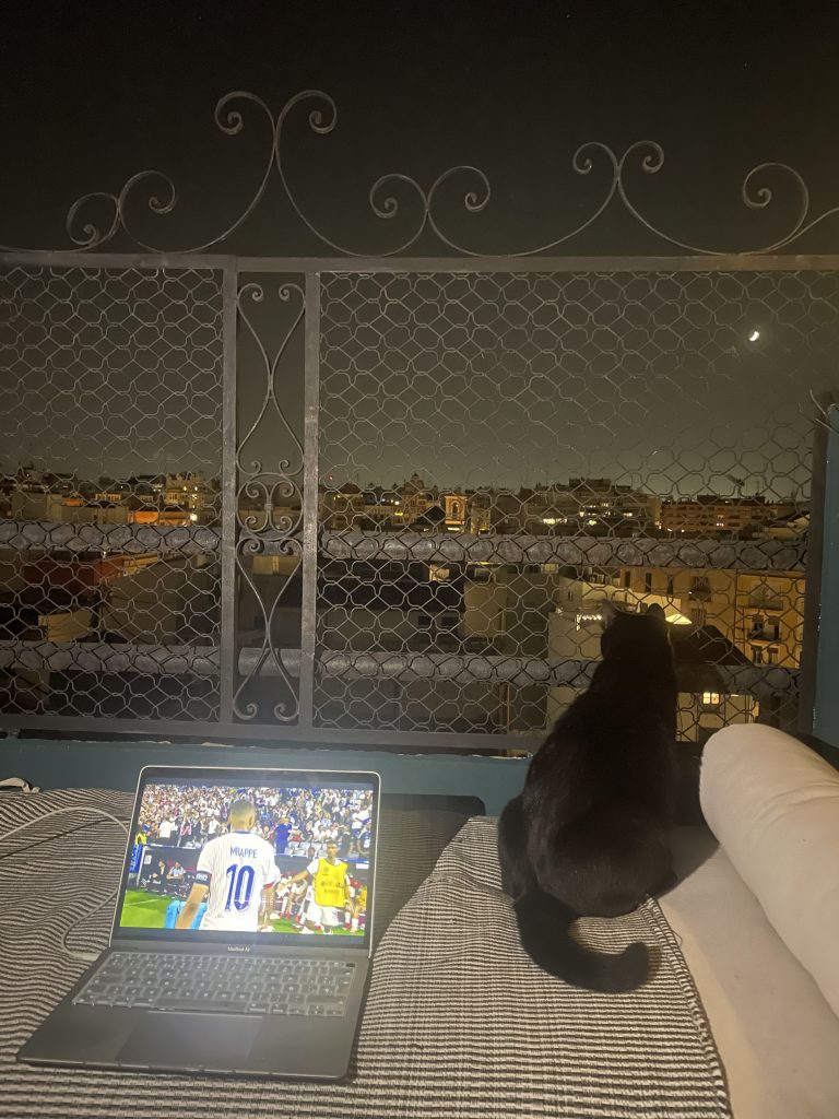 猫咪Miso / Cat Miso